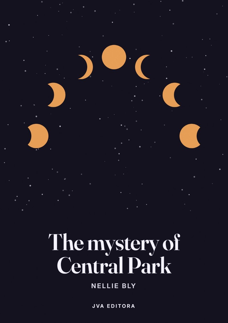 Copertina di The mystery of Central Park