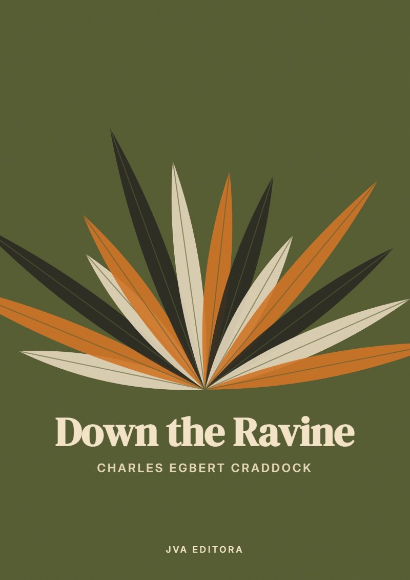 Cover of Down the Ravine