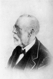 Ritratto di Professor Hoffmann