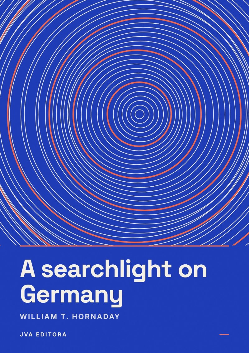 Cover von A searchlight on Germany