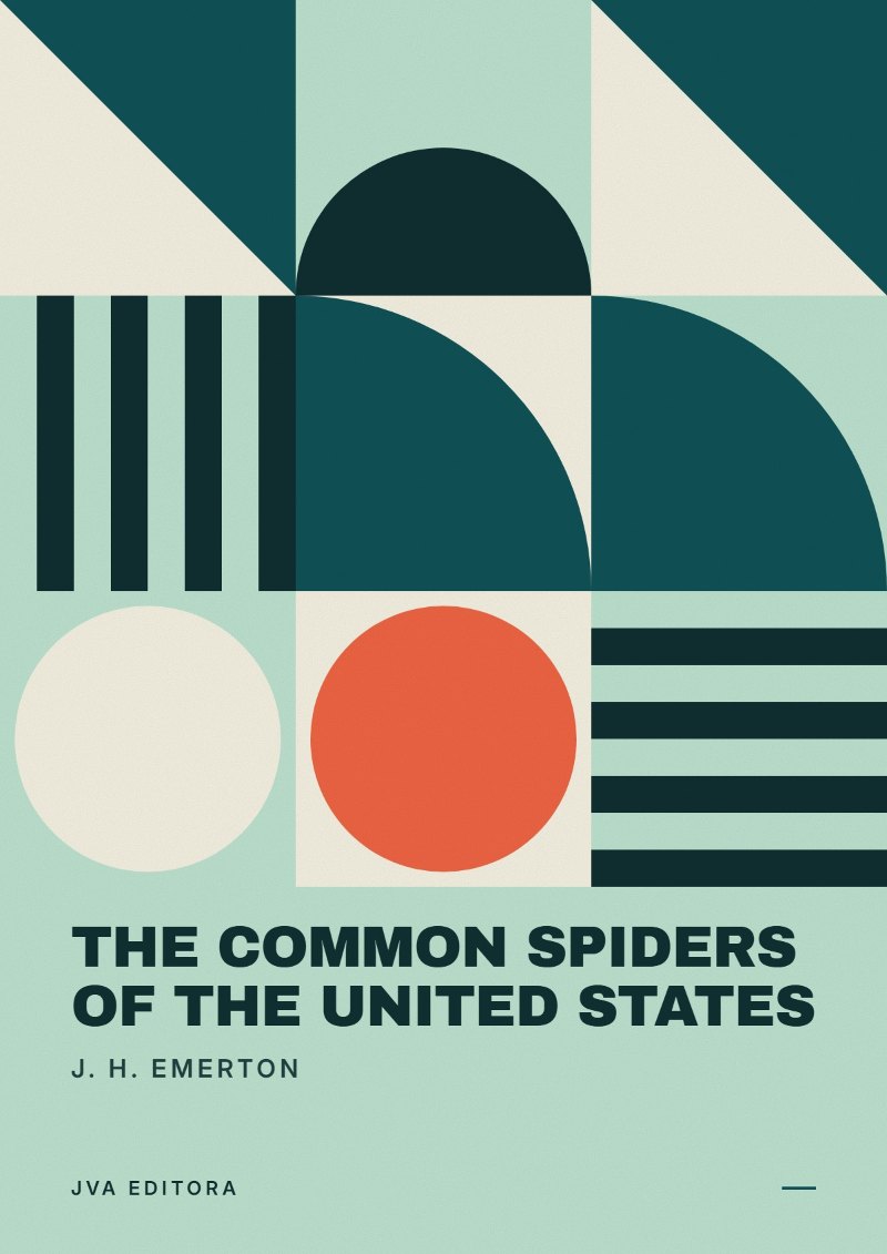 Capa de The Common Spiders of the United States
