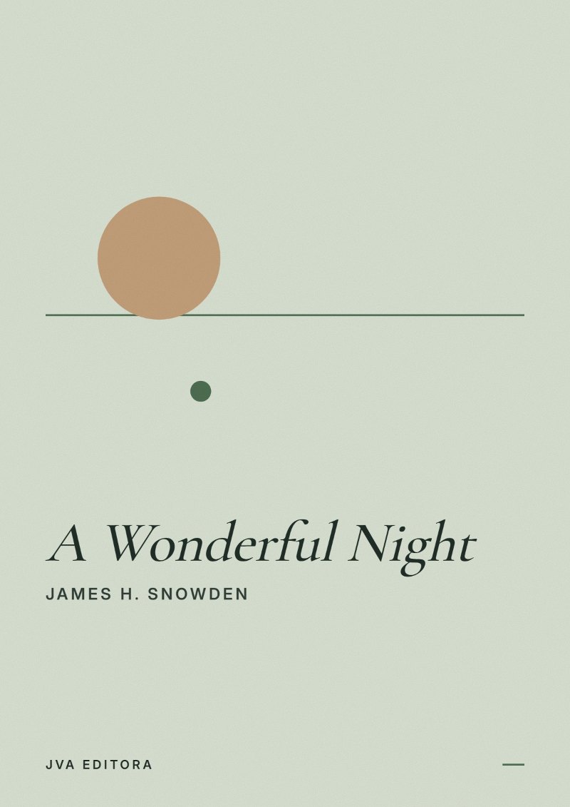 Couverture de A Wonderful Night