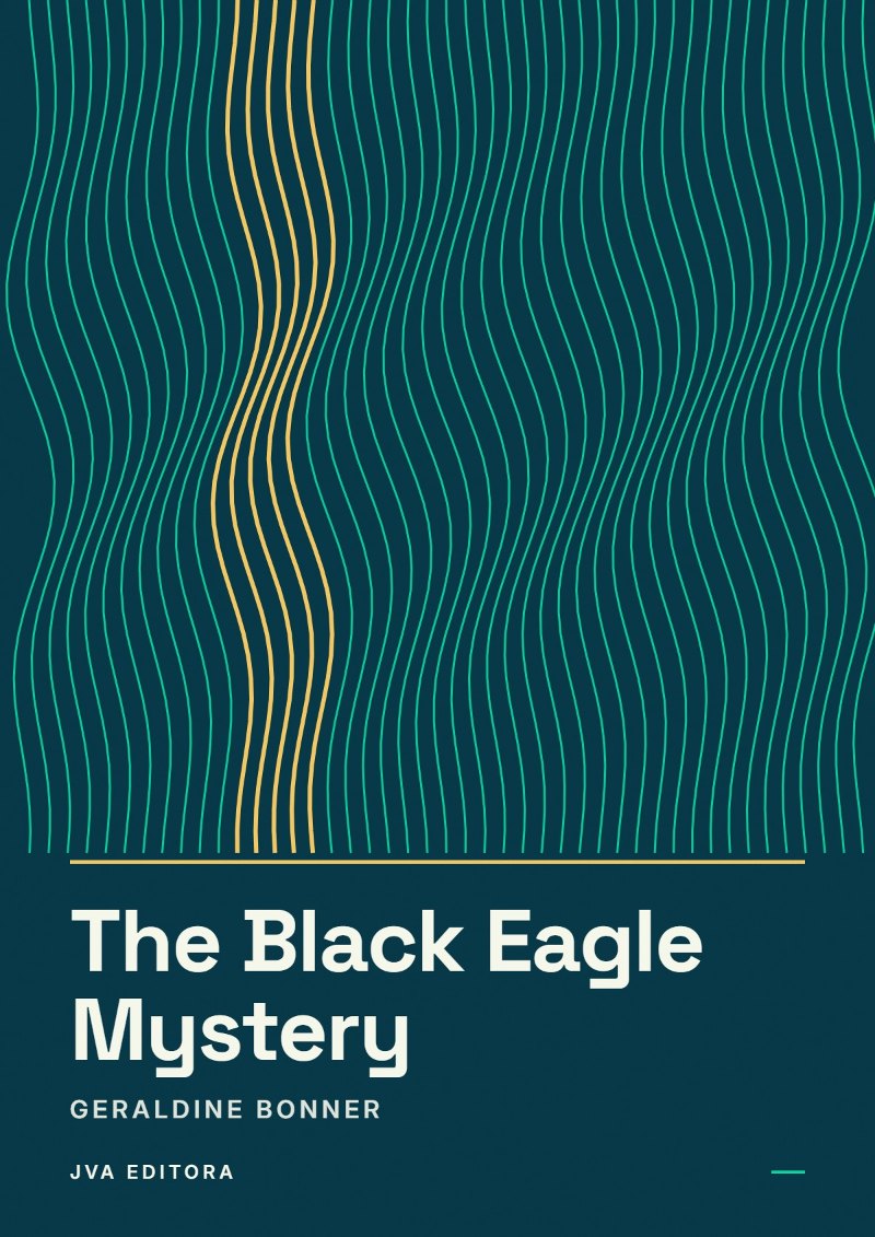 Εξώφυλλο του The Black Eagle Mystery