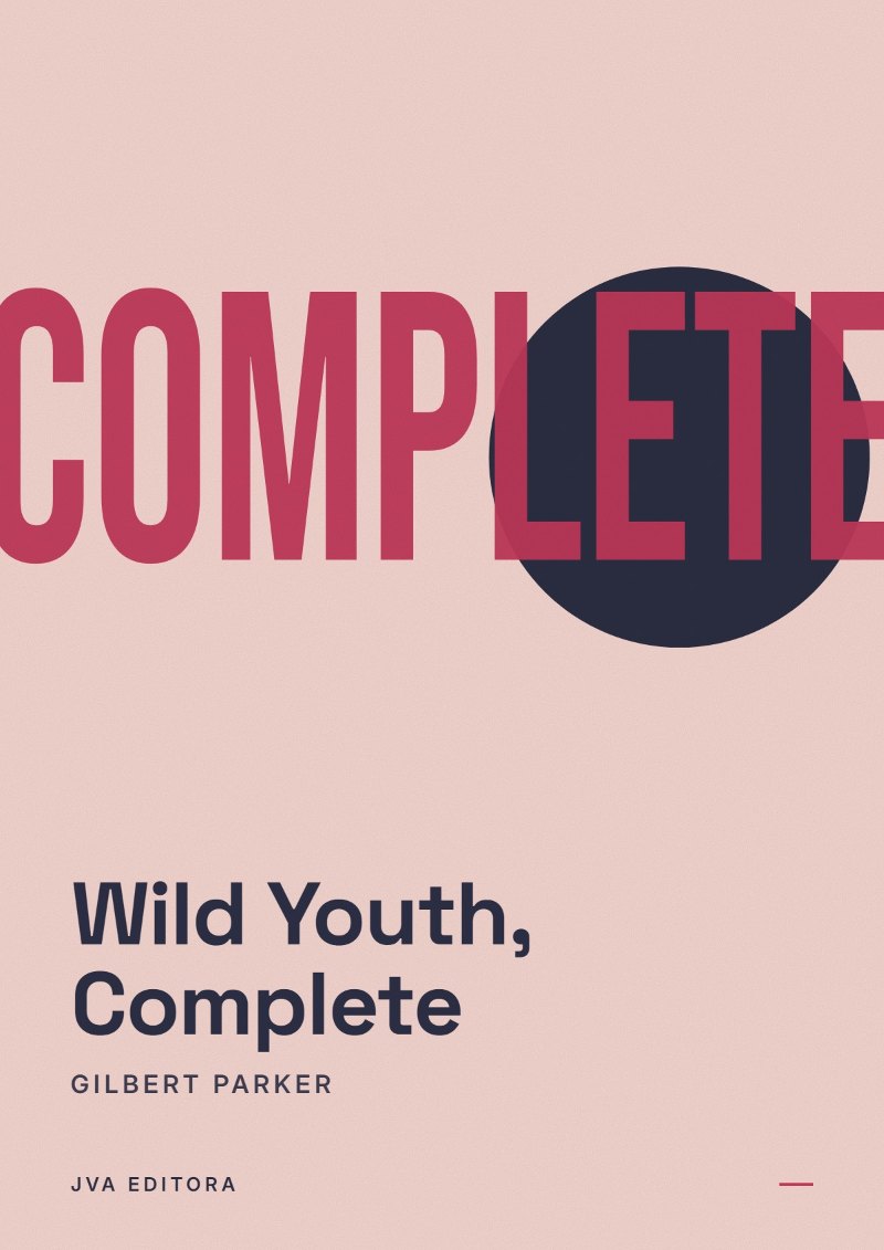 《Wild Youth, Complete》封面