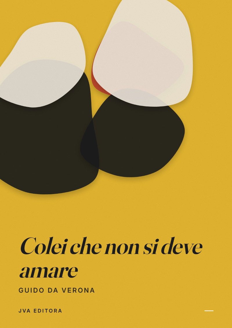 《Colei che non si deve amare》封面