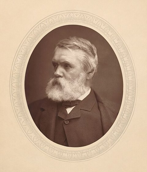 Retrato de Tom Taylor