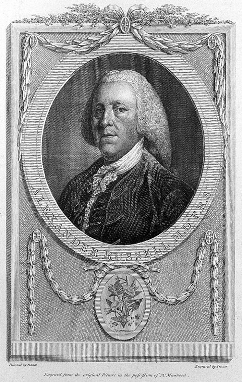 Retrato de Alexander Russell