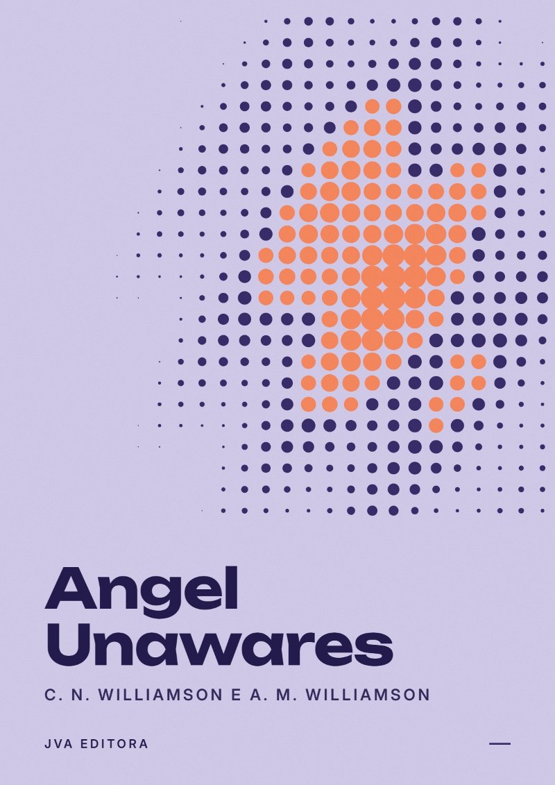 Couverture de Angel Unawares