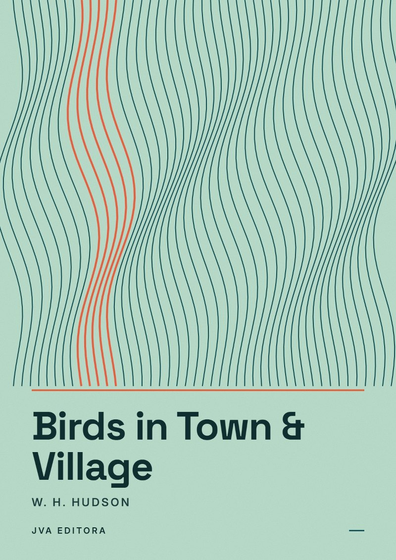 Capa de Birds in Town & Village