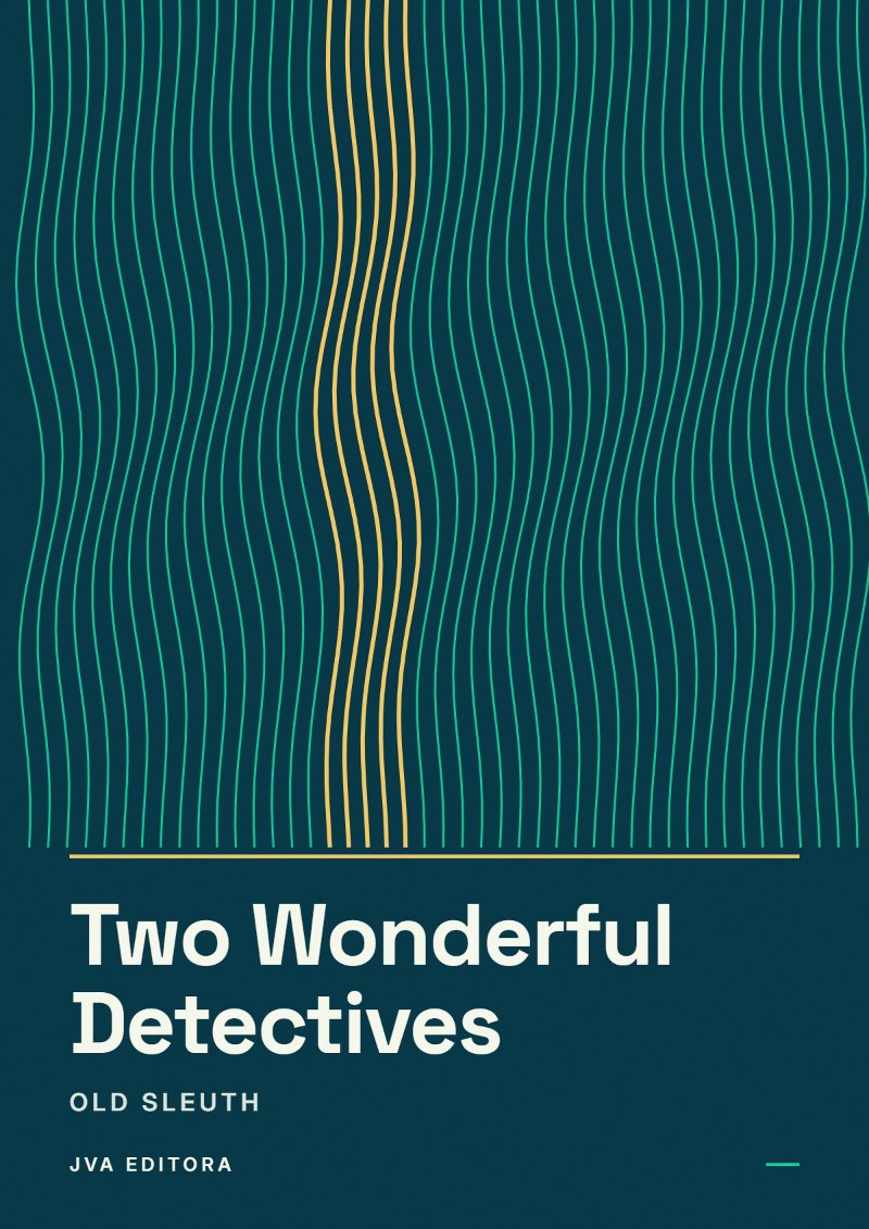 Εξώφυλλο του Two Wonderful Detectives