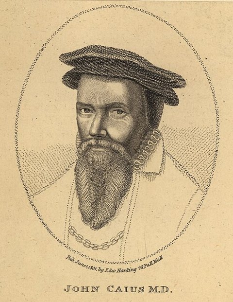 Ritratto di John Caius