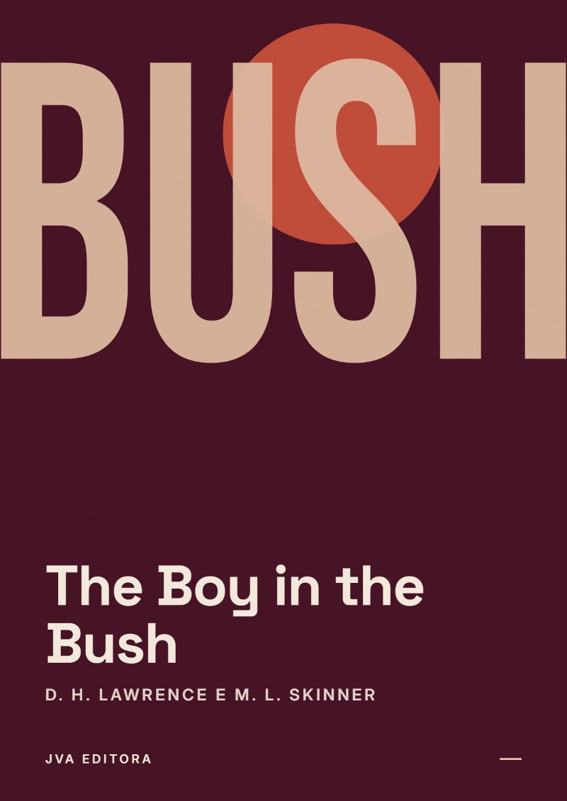 Copertina di The Boy in the Bush