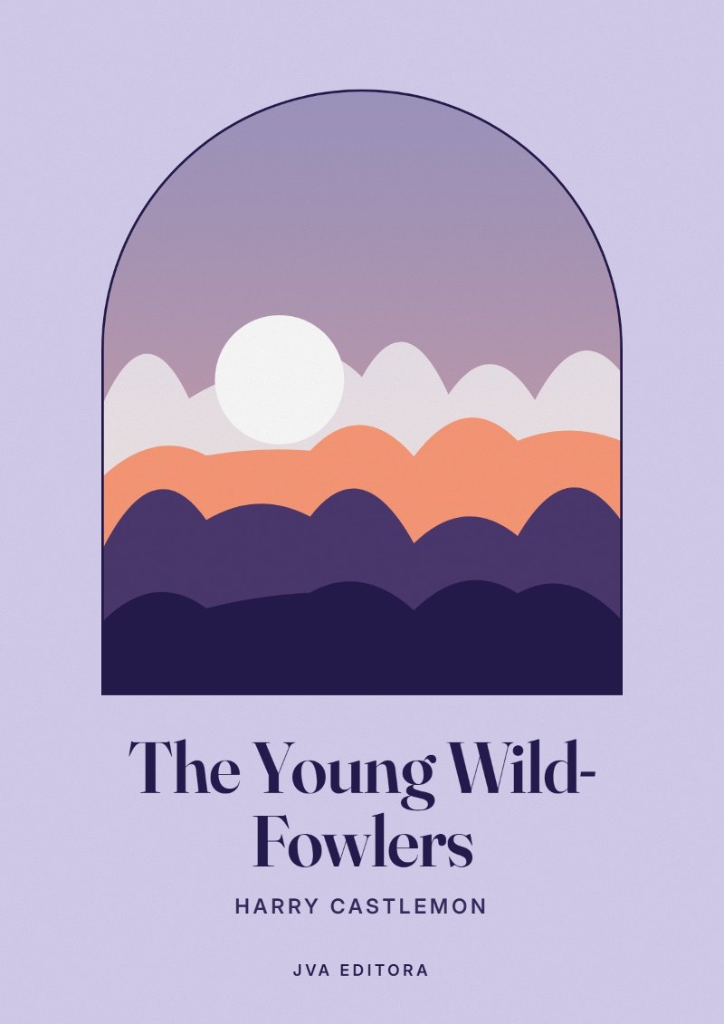 Couverture de The Young Wild-Fowlers