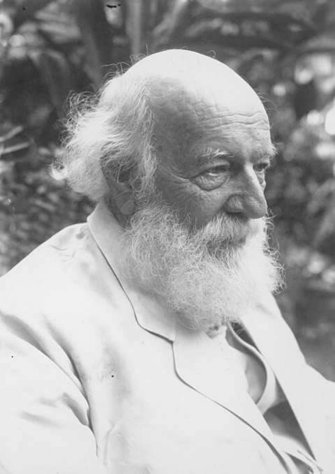 Porträt von William Tufts Brigham
