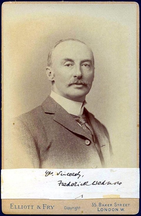 Retrato de Frederick Wedmore