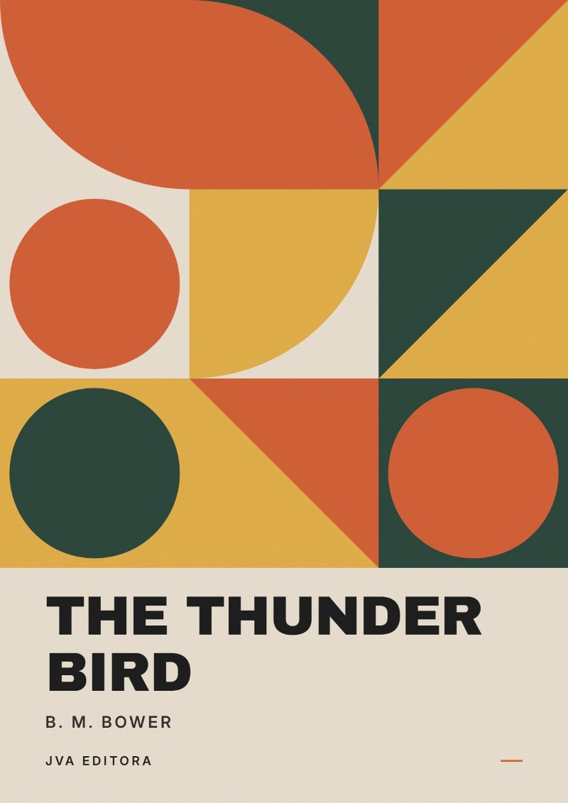 《The Thunder Bird》封面