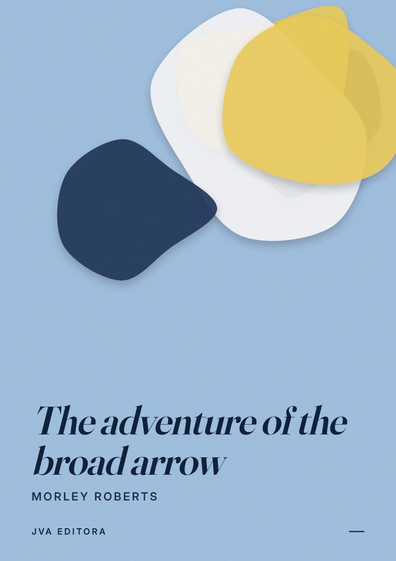 《The adventure of the broad arrow》封面