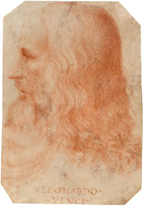 Portrait de da Vinci Leonardo