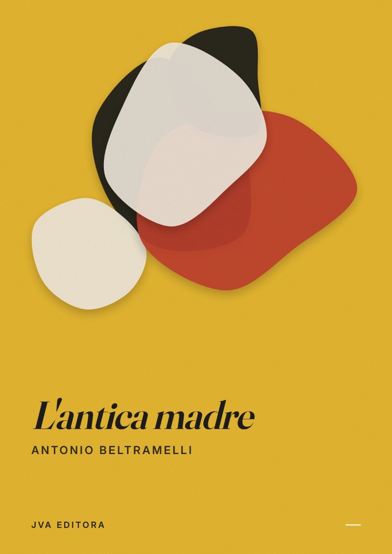 Portada de L'antica madre