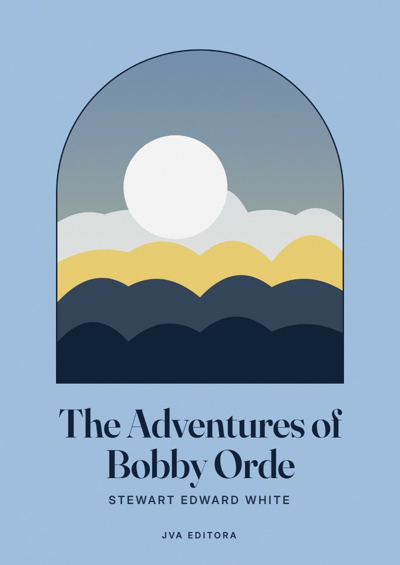 《The Adventures of Bobby Orde》封面
