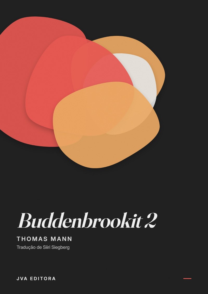 Capa de Buddenbrookit 2