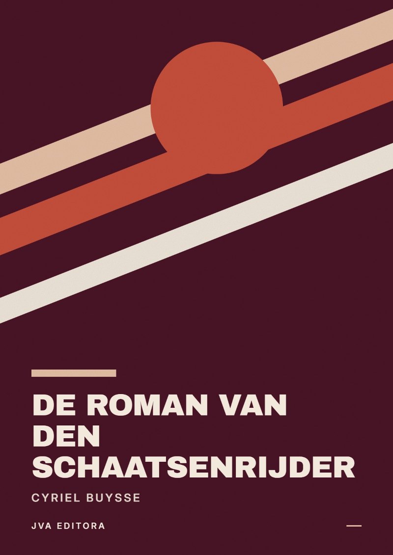 Couverture de De roman van den schaatsenrijder