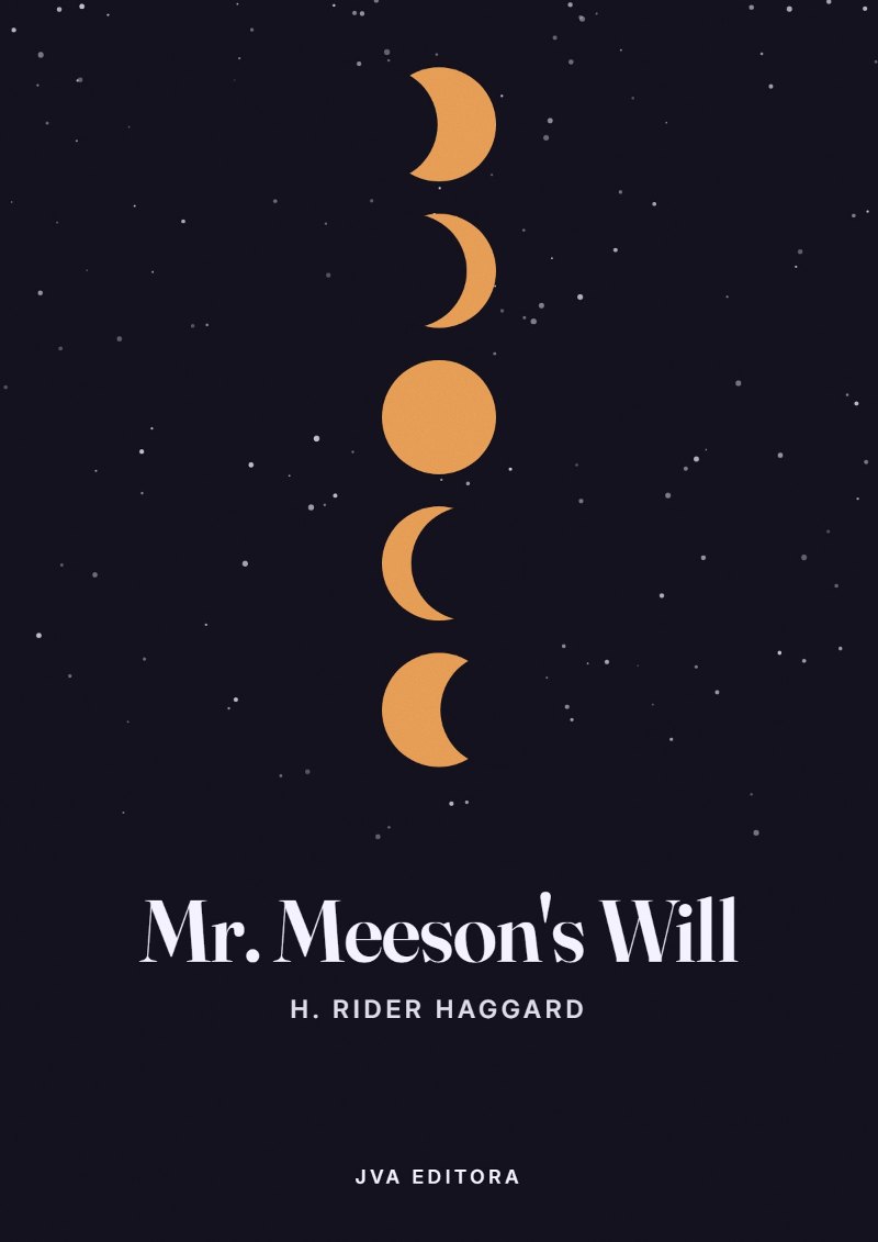 《Mr. Meeson's Will》封面